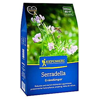 Kiepenkerl Gründüngung Serradella (Ornithopus sativus, Inhalt reicht für ca. 80 Quadratmeter)