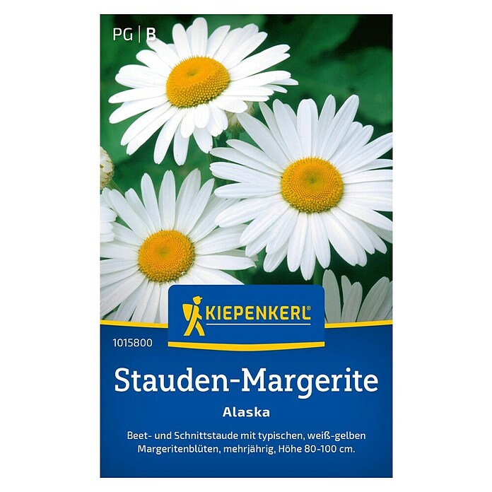Vilmorin Chrysanthemum Grande Margerite – Weiße Gänseblümchen, 90 X 2 X 160 Cm