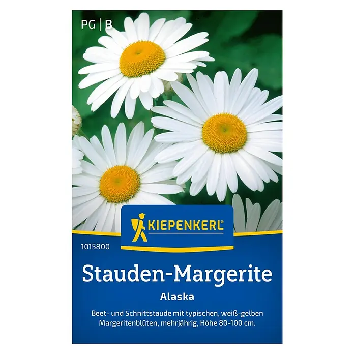 Kiepenkerl Blumensamen Stauden-Margerite - Chrysanthemum maximum, Weiß - Samenpackung Stauden-Margerite 'Alaska' von Kiepenkerl. Mehrjährige Beet- und Schnittstaude mit weißen Blüten und gelber Mitte.