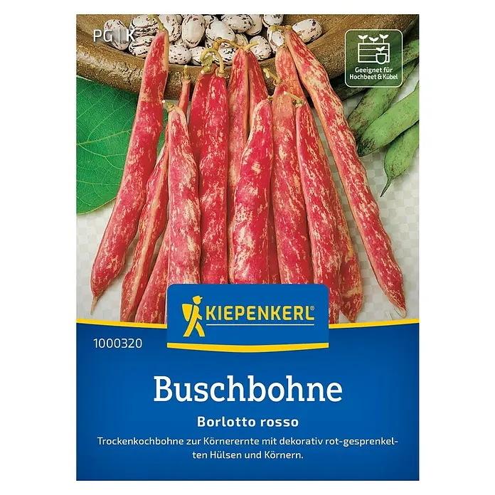 Kiepenkerl Profi-Line Gemüsesamen Buschbohne Borlotto Rosso - Phaseolus vulgaris var. nanus, Erntezeit: Juli - Samenpackung Buschbohne Borlotto rosso. Trockenkochbohne für dekorative Körnerernte, rot-gesprenkelten Hülsen und Körnern. Geeignet für Hochbeete.