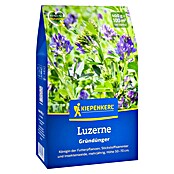 Kiepenkerl Gründüngung Luzerne (Medicago sativa, Inhalt reicht für ca. 100 Quadratmeter) | BAUHAUS