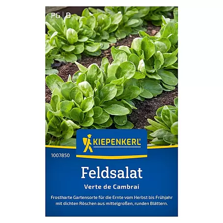 Kiepenkerl  Salatsamen Feldsalat Verte de Cambrai