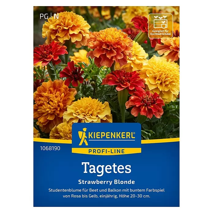 Kiepenkerl Profi-Line Blumensamen Strawberry Blonde - Tagetes patula, Inhalt reicht für ca. 20 Pflanzen - Tagetes 'Strawberry Blonde' Blüten in Rosé- bis Gelbtönen, geeignet für Hochbeet & Kübel.