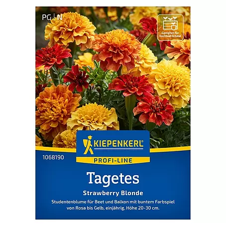 Kiepenkerl Profi-Line Blumensamen Strawberry Blonde