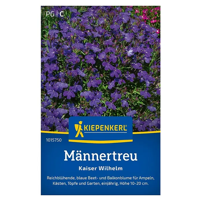 Kiepenkerl Blumensamen Männertreu Kaiser Wilhelm - Lobelia erinus, Blau - Das Bild zeigt die "Männertreu Kaiser Wilhelm" Blume von Kiepenkerl, eine reichblühende, blaue Beet- und Balkonpflanze.