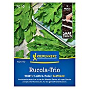 Kiepenkerl Profi-Line Salatsamen Salatrauke Trio Wildfire, Astra,Ruca (Eruca sativa, Erntezeit: Ganzjährig) | BAUHAUS