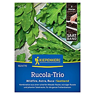 Kiepenkerl Profi-Line Salatsamen Salatrauke Trio Wildfire, Astra,Ruca (Eruca sativa, Erntezeit: Ganzjährig)