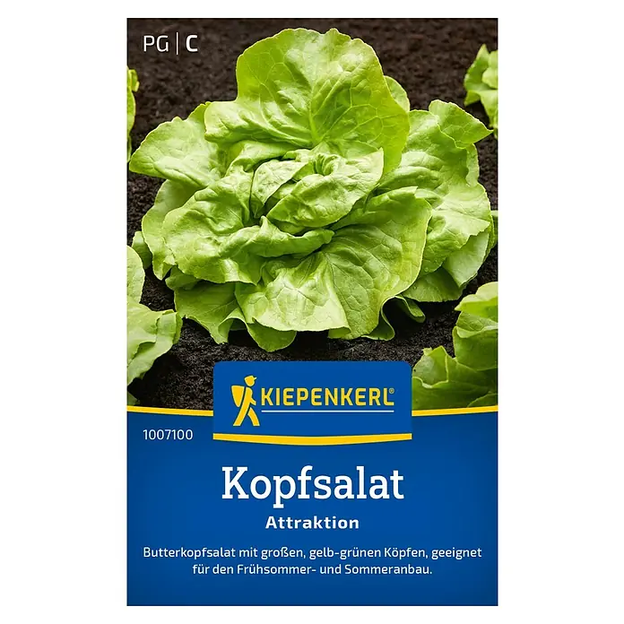 Kiepenkerl Salatsamen Kopfsalat - Lactuca sativa var. capitata, Erntezeit: Juni - Abbildung eines Kopfsalat-Samenpakets der Marke Kiepenkerl, Sorte Attraktion.