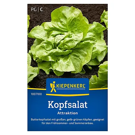 Kiepenkerl  Salatsamen Kopfsalat