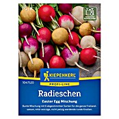 Kiepenkerl Profi-Line Gemüsesamen Radieschen (Raphanus sativus var. sativus, Erntezeit: Juli) | BAUHAUS