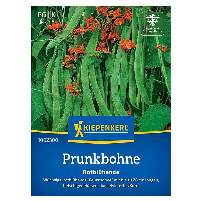 Kiepenkerl Gemüsesamen Prunkbohne (Phaseolus coccineus, Erntezeit: August) | BAUHAUS