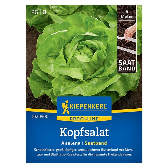 Kiepenkerl Profi-Line Salatsamen Kopfsalat Analena Saatband (Lactuca sativa var. capitata, Erntezeit: Mai) | BAUHAUS