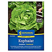 Kiepenkerl Profi-Line Salatsamen Kopfsalat Analena Saatband (Lactuca sativa var. capitata, Erntezeit: Mai) | BAUHAUS