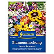 Kiepenkerl Profi-Line Blumensamenmischung Trockene Gartenecken (Verschiedene Sorten, Mehrfarbig, 2 m² - 3 m²) | BAUHAUS