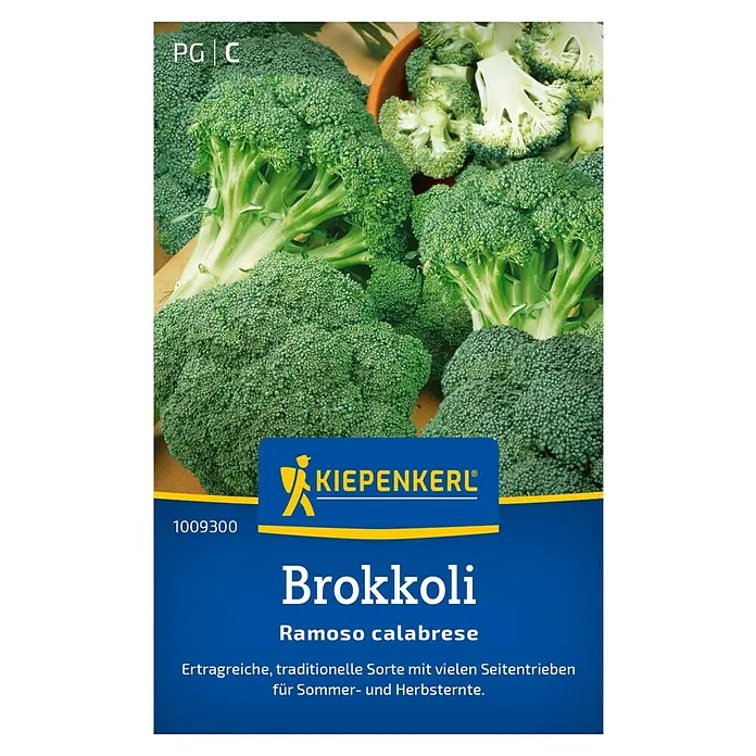 Kiepenkerl Gemüsesamen Brokkoli Marathon - Brassica oleracea var. italica, Erntezeit: Juli - Samenpackung 'Brokkoli Ramoso Calabrese' von Kiepenkerl. Ertragreiche, traditionelle Sorte für den Sommer- und Herbstanbau.