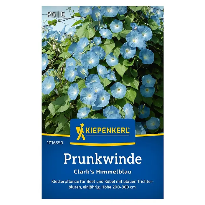 Kiepenkerl Blumensamen Prunkwinde - Ipomoea tricolor, Blau - Samentüte Prunkwinde 'Clark's Himmelblau' von Kiepenkerl. Kletterpflanze mit himmelblauen Blüten für Beet und Kübel. Höhe 200-300 cm.