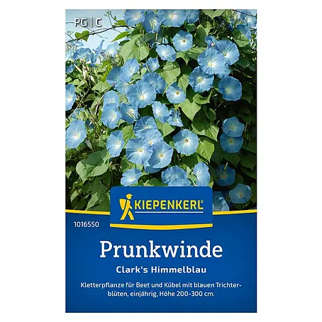 Kiepenkerl  Blumensamen Prunkwinde
