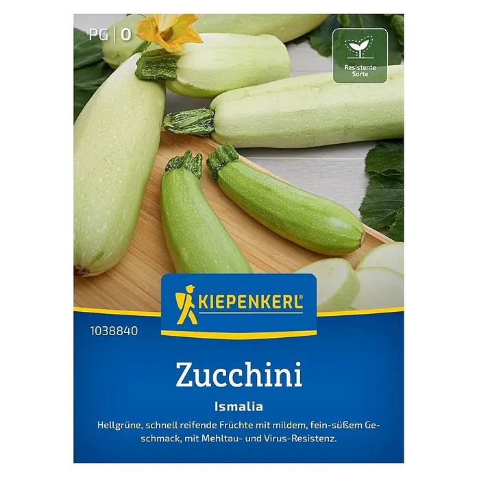 Kiepenkerl Profi-Line Gemüsesamen Zucchini Ismalia - Cucurbita pepo, Erntezeit: Juli - Abbildung der Zucchinisorte 'Ismalia' von Kiepenkerl, einer resistenten Sorte mit hellgrünen, mild-süßen Früchten.