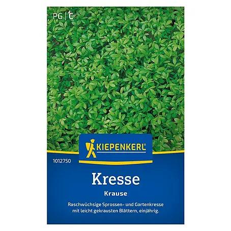 Kiepenkerl  Kräutersamen Kresse, kraus