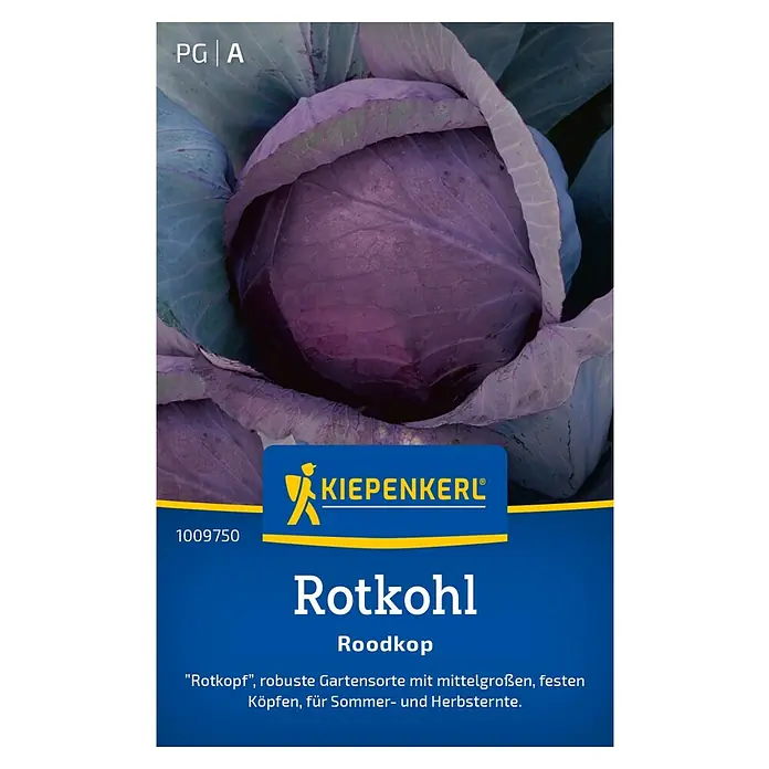 Kiepenkerl Gemüsesamen Rotkohl - Brassica oleracea var. capitata f. rubra, Erntezeit: August - Abbildung eines Kiepenkerl Rotkohl Rotkopf-Samenpakets mit einem großen Rotkohlkopf im Hintergrund.