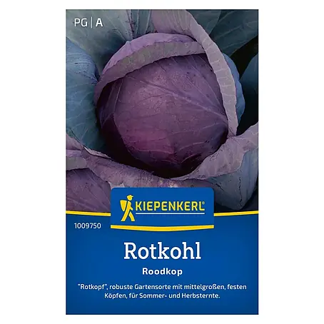 Kiepenkerl  Gemüsesamen Rotkohl