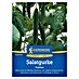 Kiepenkerl Profi-Line Gemüsesamen Salatgurke Euphya 
