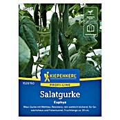 Kiepenkerl Profi-Line Gemüsesamen Salatgurke Euphya (Cucumis sativus, Erntezeit: Juli) | BAUHAUS