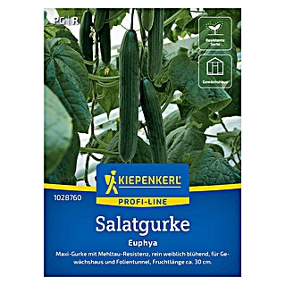 Kiepenkerl Profi-Line Gemüsesamen Salatgurke Euphya (Cucumis sativus, Erntezeit: Juli)