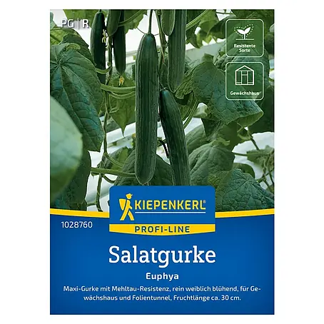 Kiepenkerl Profi-Line Gemüsesamen Salatgurke Euphya