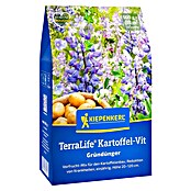 Kiepenkerl Gründüngung TerraLife® (Mischung, Inhalt reicht für ca. 80 Quadratmeter) | BAUHAUS