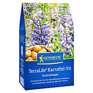 Kiepenkerl Gründüngung TerraLife® (Mischung, Inhalt reicht für ca. 80 Quadratmeter)