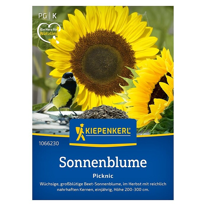 Kiepenkerl Blumensamen Sonnenblume Picknic (Helianthus annuus, Inhalt reicht für ca. 15 Pflanzen) | BAUHAUS