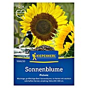 Kiepenkerl Blumensamen Sonnenblume Picknic (Helianthus annuus, Inhalt reicht für ca. 15 Pflanzen) | BAUHAUS