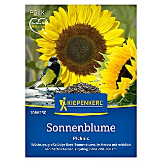 Kiepenkerl Blumensamen Sonnenblume Picknic (Helianthus annuus, Inhalt reicht für ca. 15 Pflanzen)