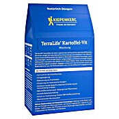 Kiepenkerl Gründüngung TerraLife® (Mischung, Inhalt reicht für ca. 80 Quadratmeter) | BAUHAUS