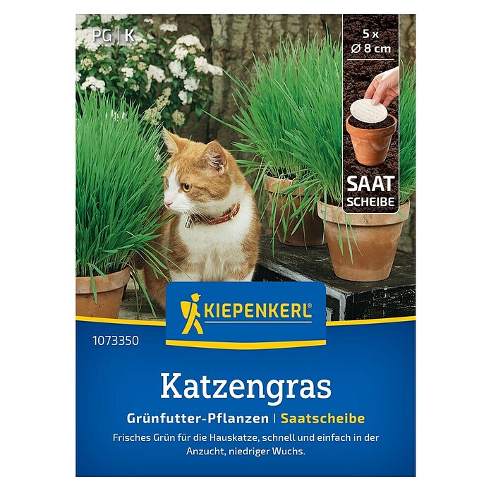 Kiepenkerl Profi-Line Saatgut Katzengras Frischgrün Saatscheibe (Verschiedene Sorten) | BAUHAUS