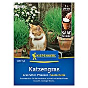 Kiepenkerl Profi-Line Saatgut Katzengras Frischgrün Saatscheibe (Verschiedene Sorten) | BAUHAUS