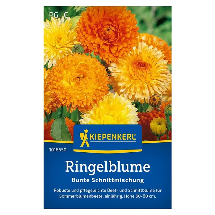 Kiepenkerl Blumensamen Ringelblumen - Calendula officinalis, Mehrfarbig - Samentüte Ringelblume Bunte Schnittmischung von Kiepenkerl, ideal für Sommerblumenbeete, einjährig, Höhe 60-80 cm.