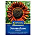 Kiepenkerl Profi-Line Blumensamen Sonnenblume 