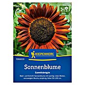 Kiepenkerl Profi-Line Blumensamen Sonnenblume (Helianthus annuus, Rot) | BAUHAUS