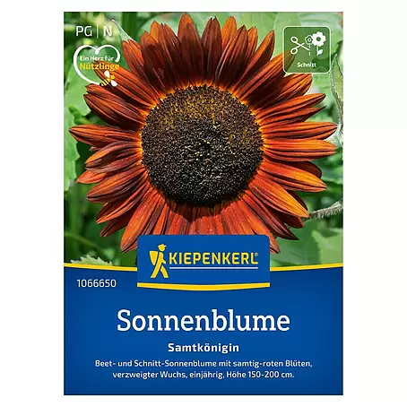 Kiepenkerl Profi-Line Blumensamen Sonnenblume