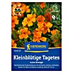 Kiepenkerl Profi-Line Blumensamen Studentenblume (Tagetes tenuifolia, Orange) | BAUHAUS