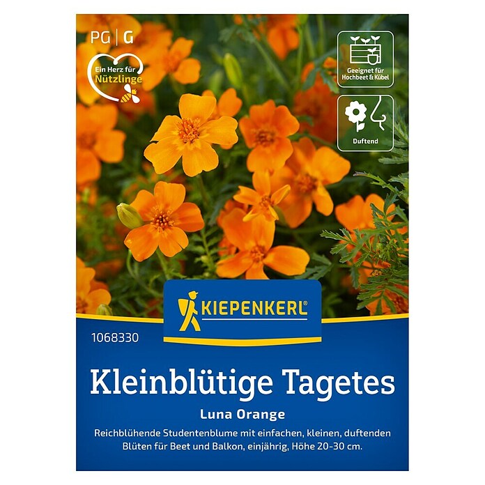 Kiepenkerl Profi-Line Blumensamen Studentenblume (Tagetes tenuifolia, Orange) | BAUHAUS