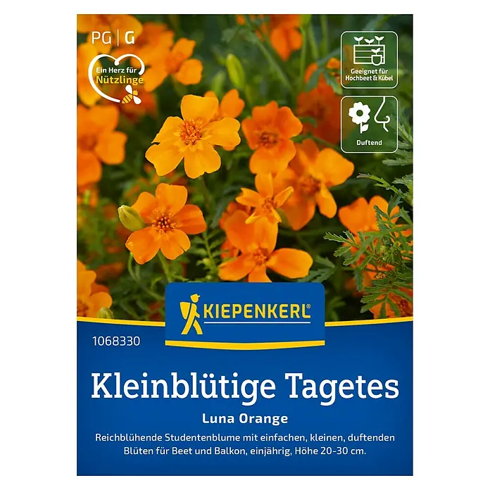 Kiepenkerl Profi-Line Blumensamen Studentenblume - Tagetes tenuifolia, Orange - Bild einer Samenpackung für "Kleinblütige Tagetes Luna Orange", einer einjährigen, duftenden Studentenblume für Beet und Balkon.