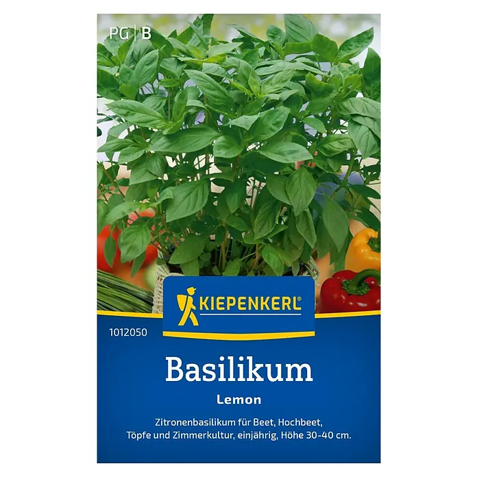 Kiepenkerl Kräutersamen Zitronenbasilikum - Ocimum basilicum, Erntezeit: Juni - Abbildung von Kiepenkerl Basilikum Lemon, einer einjährigen Sorte mit Zitronenaroma, ideal für Beete und Töpfe, Höhe 30-40 cm.