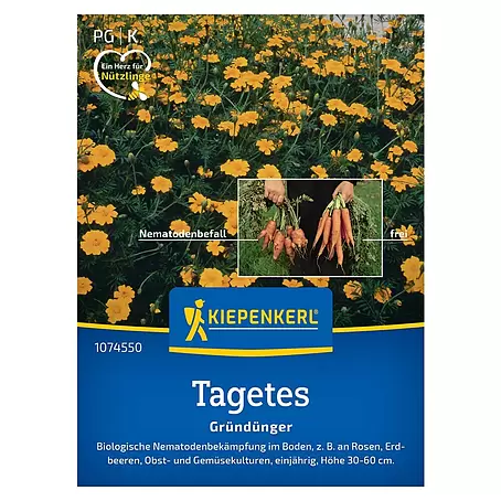 Kiepenkerl  Gründüngung Tagetes