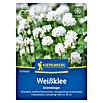 Kiepenkerl Gründüngung (Trifolium repens, Inhalt reicht für ca. 30 Quadratmeter) | BAUHAUS