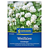 Kiepenkerl Gründüngung Weißklee (Trifolium repens, Inhalt reicht für ca. 30 Quadratmeter) | BAUHAUS