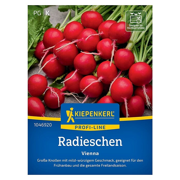 Kiepenkerl Profi-Line Gemüsesamen Radieschen Vienna, F1 (Raphanus sativus var. sativus, Erntezeit: April) | BAUHAUS