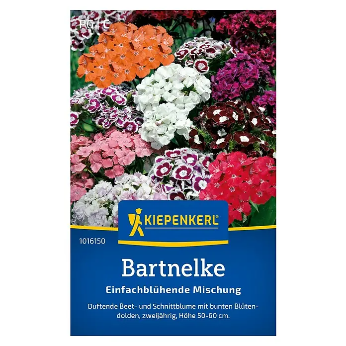 Kiepenkerl Blumensamenmischung Bartnelke einfachblühende Mischung - Dianthus barbatus, Mehrfarbig - Samenpackung Bartnelke 'Einfachblühende Mischung' von Kiepenkerl mit einer Vielfalt an bunten, duftenden Blüten für Beet und Schnitt.